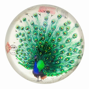 World Buyers Proud Peacock Glass Dome Paperweight