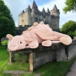 Load image into Gallery viewer, jellycat rose dragon- little
