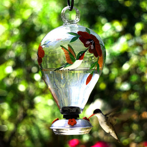 par-a-sol garden eighty days hummingbird feeder- hummingbird botanica