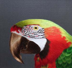 king silk art handmade embroidery wildlife birds parrot 31102