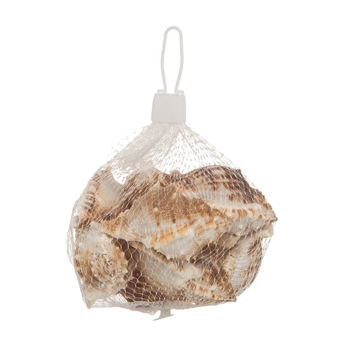 135gram bag of sea snail shells