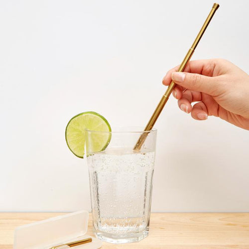 copper travel straw set