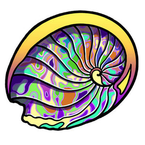 abalone shell iron on patch