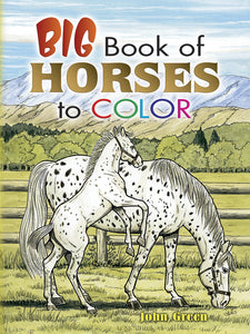 big book of horses to color